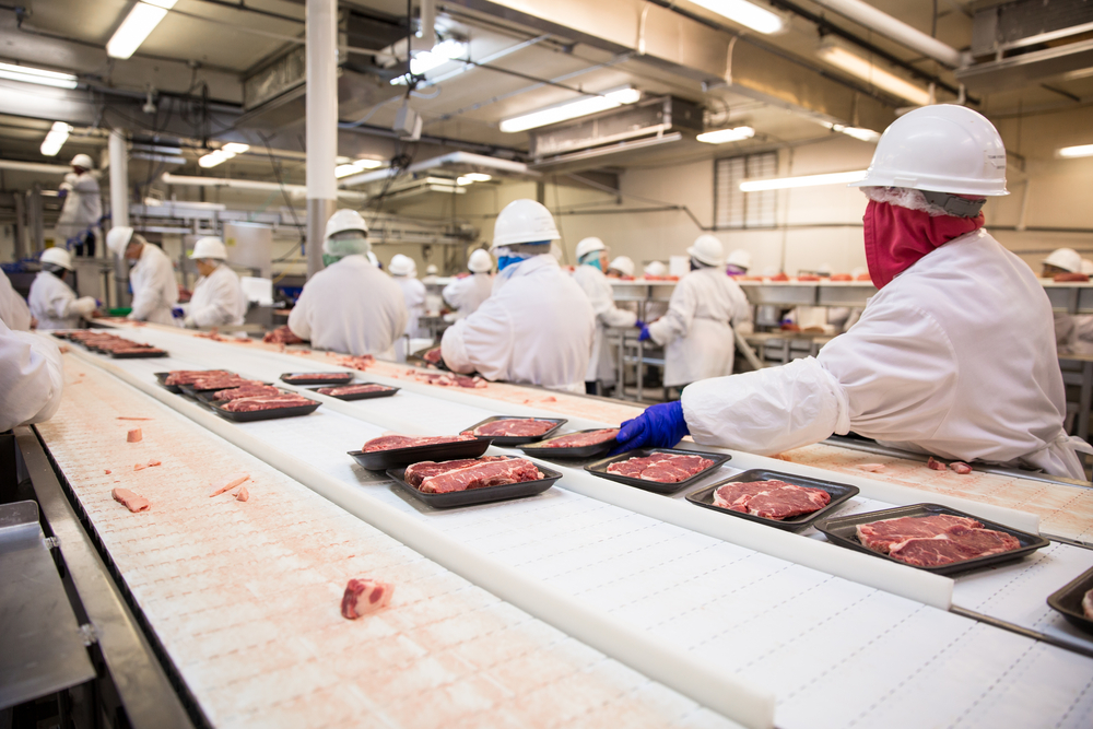 Aggiornamento Responsabile HACCP